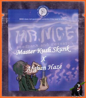 Master Kaze Regular Hanfsamen (Master Kush Skunk x Afghan Haze)