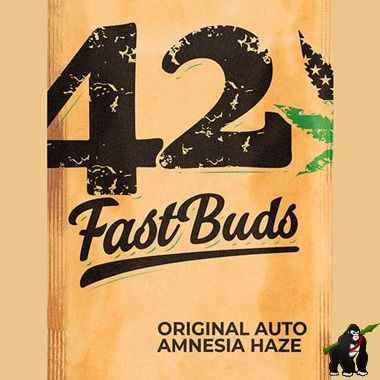 Original Auto Amnesia Haze