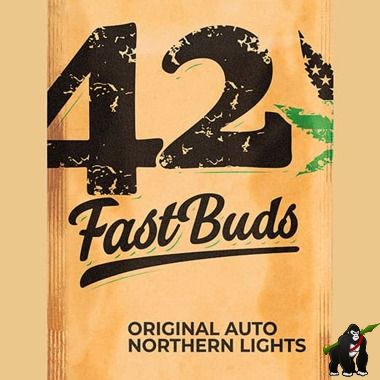 Original Auto Northern Lights