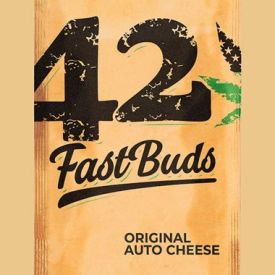 Original Auto Cheese
