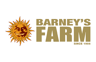 Barneys Farm Hanfsamen