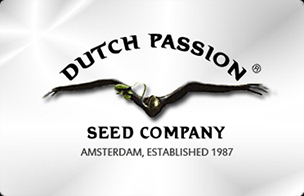Dutch Passion Autoflowering Hanfsamen