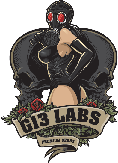 G13 Labs Feminized