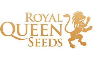 Royal Queen Autoflowering